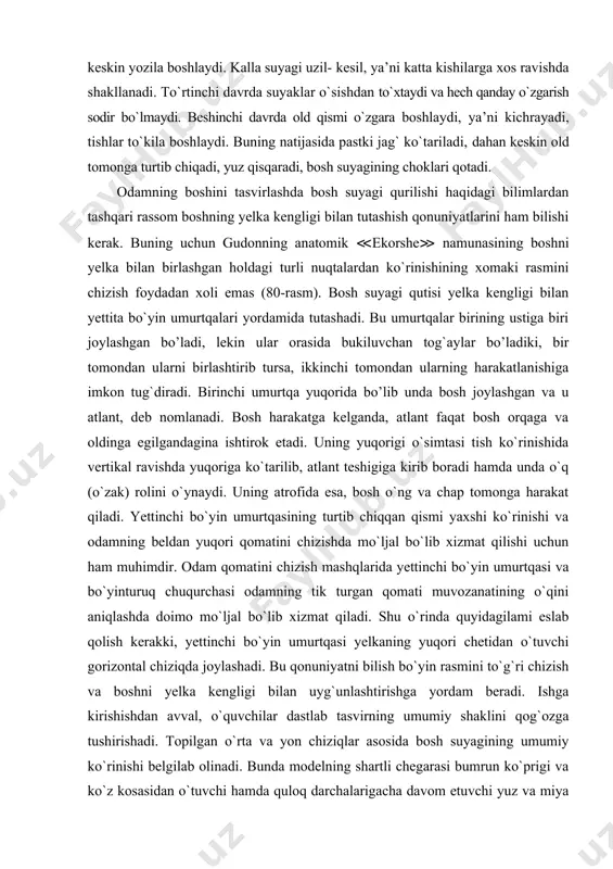 eb nomlanadi. bosh harakatga kelganda, atlant faqat bosh orqaga va oldinga egilgandagina ishtirok etadi. uning yuqorigi o`simtasi tish ko`rinishida vertikal ravishda yuqoriga ko`tarilib, atlant teshigiga kirib boradi hamda unda o`q (o`zak) rolini o`ynaydi. uning atrofida esa, bosh o`ng va chap tomonga harakat qiladi. yettinchi bo`yin umurtqasining turtib chiqqan qismi yaxshi ko`rinishi va odamning beldan yuqori qomatini chizishda mo`ljal bo`lib xizmat qilishi uchun ham muhimdir. odam qomatini chizish mashqlarida yettinchi bo`yin umurtqasi va bo`yinturuq chuqurchasi odamning tik turgan qomati muvozanatining o`qini aniqlashda doimo mo`ljal bo`lib xizmat qiladi. shu o`rinda quyidagilami eslab qolish kerakki, yettinchi bo`yin umurtqasi yelkaning yuqori chetidan o`tuvchi gorizontal chiziqda joylashadi. bu qonuniyatni bilish bo`yin rasmini to`g`ri chizish va boshni yelka kengligi bilan uyg`unlashtirishga yordam beradi. ishga kirishishdan avval, o`quvchilar dastlab tasvirning umumiy shaklini qog`ozga tushirishadi. topilgan o`rta va yon chiziqlar asosida bosh suyagining umumiy ko`rinishi belgilab olinadi. bunda modelning shartli chegarasi bumrun ko`prigi va ko`z kosasidan o`tuvchi hamda …