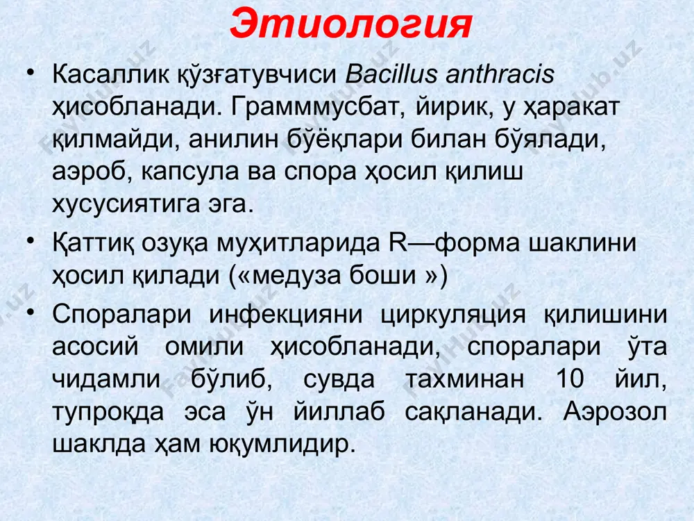 chanligi − + + qo‘y eritrotsitlari lizisi − + − jelatinani yemirishi to‘ntarib qo‘yilgan archani eslatadi ukol bo‘ylab tez yemiradi, gorizontal o‘simtalar hosil qiladi yuzasida yemirib plenka hosil qiladi gemolitik xususiyati − + + lakmusli zardobda o‘sishi qizartiradi ko‘kartiradi ko‘kartiradi dengiz cho‘chqachasi va quyon uchun patogenligi + − − foges-proskauer reaksiyasi + − + ureaza hosil qilishi − ± − arabinoza − − + ksiloza − − + penitsillinga sezgirligi + − − kuydirgi fagiga sezgirligi + − − қиёсий ташҳис (давоми) фурункул ва карбункулларни йиринг чақирувчи микроблар – кокклар келтириб чиқаради. бундан тери қизариб шишади ва аста – секин йиринг йиғилади, яра устида қора парда пайдо бўлмайди, иситма баланд бўлади. пайпаслаганда оғриқ кам бўлади. куйдиргининг тери шаклида эса яра усти қизаради, папула, пустула, қора парда билан қопланади ва оғриқ сезилмайди. ўлатнинг тери турида бурга чаққан жой қизаради, шишиб кетади, цианоз кузатилади, пальпация қилинганда қаттиқ оғриқ сезилади, умумий заҳарланиш белгилари …