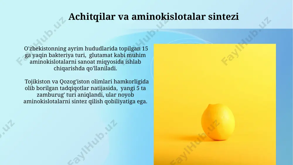 lgan ba'zi qo'ziqorinlar, masalan, 10 dan ortiq turdagi fusarium turlaridan ba'zilari, o'simliklarning o'sishiga yordam beradigan turli aminokislotalarni sintez qiladi. e'tiboringiz uchun rahmat @taqdimot_robot image2.jpg image3.jpg image4.jpg image5.jpg image6.jpg image7.jpg image8.jpg image9.jpg image1.png