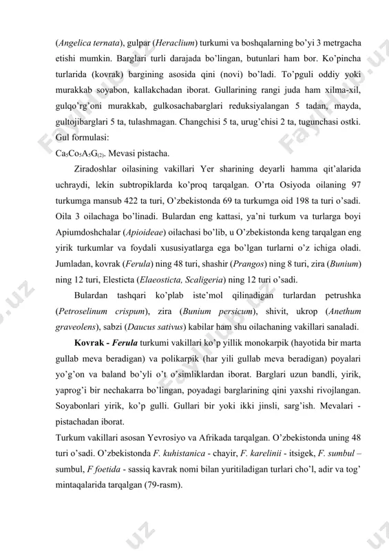 da - sassiq kavrak nomi bilan yuritiladigan turlari cho’l, adir va tog’ mintaqalarida tarqalgan (79-rasm). kovraklar cho’ldan tortib, tog’larning yuqori qismlarigacha bo’lgan hududlaridagi sho’rxok, gipsli, mayda chag’ir toshli tuproqlarda, shag’alli hamda toshli joylarda tarqalgan. respublikada keng tarqalgan turlaridan biri - f. diversivittata. kovraklar yaxshi yem-xashak, asalshira beruvchi, dorivor va iste’mol qilinadigan (sassiq kovrak) o’simliklar hisoblanadi. zira - bunium turkumiga ko’p yillik, tugunakli o’t o’simliklar kiradi. ildiz bo’g’zida joylashgan to’p barglari uzun bandli, yaprog’ipatsimon qirqilgan. gullari 2 xil ikki va bir jinsli gulqo’rg’oni murakkab, gultojibargchalari oq rangli. ziraning xushbo’y zira (b. persicum) nomli turini ko’pchilik yaxshi biladi. u tuganakli, poyasi tik o’suvchi, oqimtir yashil rangli, tuksiz ko’p yillik o’t. asosan o’zbekistonning janubiy tumanlarida mayda chag’ir toshli soz tuproqlarda, tog’ning pastki va o’rta qismlarida o’sadi. zira iyunda gullab, mevasi iyul-avgustda yetiladi. bu turli taomlar tayyorlashda ishlatiladigan muhofazaga muhtoj tur. urug’idan va tuganagidan ko’payadi. sabzi (daucus) (78-rasm) yo’g’onlashgan, etli ildiz meva, bargi murakkab …