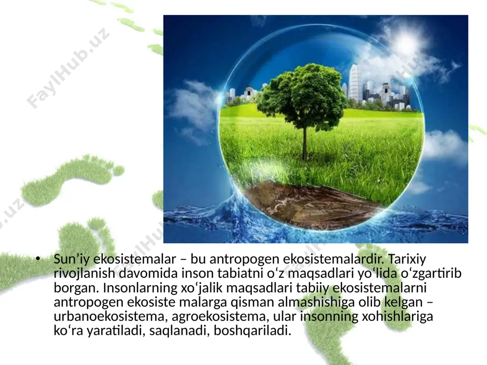 o‘simliklar ko‘pchilikni tashkil etadi. urbanoekosistemada tarqalgan hayvonlar orasida qushlar (kaptar, chumchuq, qaldirg‘och va boshqalar), kemiruvchilar (kalamush, sichqon, olmaxonlar), hasharotlar (qandalalar, suvaraklar, asalarilar va boshqalar) uchraydi. shahar ekosistemasini boshqaruvchi ekologik ixtisoslashgan tashkilotlarning bugungi kundagi vazifasi sanoat korxonalarining ishlab chiqarish texnologiyasini, kommunal va transport sohalarini ekologizatsiyalashtirish hisoblanadi. energiya sarfini kamaytirish borasida ham bir qancha muammolar o‘z yechimini topib bormoqda. agroekosistemalar. agroekosistemalar (yunoncha – «agros» – dala) insonning qishloq xo‘jaligi sohasidagi faoliyati natijasida yuzaga keladigan sun’iy ekosistemalardir. bularga dalalar, bog‘lar, tokzorlar, tomorqalar misol bo‘ladi. agroekosistemalar agrosenozlar deb ham ataladi. agrosenoz – bu qishloq xo‘jaligi mahsulotlarini olishda foydalaniladigan sun’iy biogeotsenozlardir. urbanoekosistemadan farq qilib, agroekosistemalarning asosiy qismini avtotrof organizmlar – o‘simliklar tashkil etadi. agroekosistemalar faqatgina quyosh energiyasidan foydalanadigan tabiiy ekosistemalardan farq qiladi. bu ekosistemalarda o‘g‘itlash va sug‘orish ishlari amalga oshiriladi. agroekosistemaning asosiy elementlari quyidagilar hisoblanadi: madaniy o‘simliklar, begona o‘tlar, mikroorganizmlar (masalan, azot to‘plovchi bakteriyalar), yuksak o‘simliklar bilan mikoriza hosil qiladigan zamburug‘lar, tuproqda erkin yashovchi zamburug‘lar, …