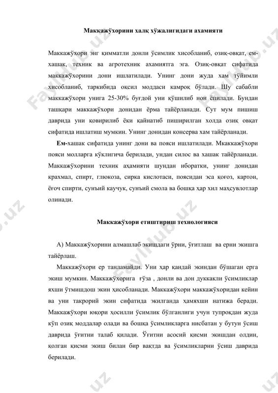қлантириш ҳам маккажўхори ҳосилдорлигини оширади. ўсиш даврида маккажўхорини икки марта, 1-чи марта ўсимликда 3-4 барг ҳосил бўлганда, 2 –чи марта оталик тўп гул ҳосил бўлишига 8-10 кун қолганда озиқлантирилади. 1-чи озиқлантиришда гектарига 60-80 кгазот, 40-60 кг фосфор ва 30 кг калий, 2-чи озиқлантиришда эса 60-80 кг азот ўғити берилади. ўғит махсус ўғитлагич суз, нку, оук, нку-4,6 машиналарида берилади. маккажўхори экиш учун ер кузда шудгор қилинади. тупроқни хусусиятига қараб шудгорлаш чуқурлиги 28-30 см ва ундан ҳам чуқур бўлиши мумкин. кўп йиллик бегона ўтлар босган далаларда кузги шудгорлашдан сўнг речагли, пружинали борона-культиватор ёки чизил ёрдамида илдиз қолдиқлари олиб ташланади. шурланган ерларда тупроқ шўри ювилади. шудгор чимқирқарли ёки 2 ярусли плг ёрдамида амалга оширилади. экишга қадар шудгорда бегона ўтлар пайдо бўлса, баҳорда 8-10 см чуқурликда культивацияланади, кейин бороналанади ва кетам – кет мола босилади. б) маккажўхорини экиш, уруғини экишга тайёрлаш, экиш муддатлари, усуллари ва меъёри. ҳозирги вақтда уруғни хозирги вақтда уруғни махсус заводларда …