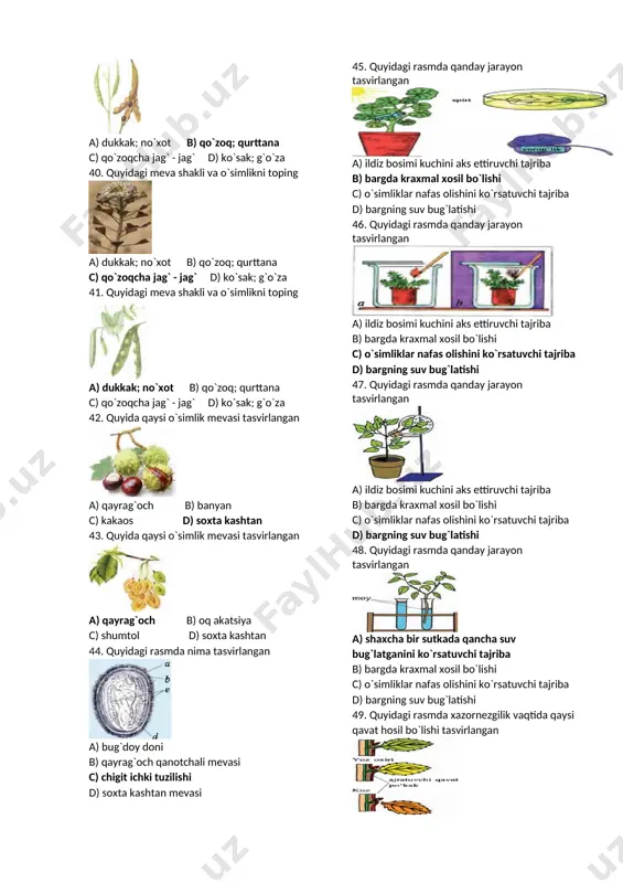 sint 51. quyidagi rasmda qaysi o`simlikni ko`payishi tasvirlangan a) boychechak b) begoniya c) tradeskansiya d) binafsha 52. quyidagi rasmda nima tasvirlangan a) tokni qalamchasidan ko`paytirish b) tolni novdasidan ko`paytirish c) tokni parxesh yo`li bilan ko`paytirish d) na`matakni ildiz bachkisidan ko`paytirish 53. quyidagi rasmda nima tasvirlangan a) tokni qalamchasidan ko`paytirish b) tolni novdasidan ko`paytirish c) tokni parxesh yo`li bilan ko`paytirish d) na`matakni ildiz bachkisidan ko`paytirish 54. quyidagi rasmda nima tasvirlangan a) tokni qalamchasidan ko`paytirish b) tolni novdasidan ko`paytirish c) tokni parxesh yo`li bilan ko`paytirish d) na`matakni ildiz bachkisidan ko`paytirish 55. quyidagi rasmda nima tasvirlangan a) tokni qalamchasidan ko`paytirish b) tolni novdasidan ko`paytirish c) tokni parxesh yo`li bilan ko`paytirish d) na`matakni ildiz bachkisidan ko`paytirish 56. quyidagi rasmda nima tasvirlangan a) soxta kashtanni ko`paytirish b) tradeskansiyani novdasidan ko`paytirish c) tolni novdasidan ko`paytirish d) aloeni bargidan ko`paytirish 57. quyidagi rasmda qanday jarayon tasvirlangan a) gullarni o`z – o`zidan changlanishi b) gulli o`simliklardagi urug`lanish c) …
