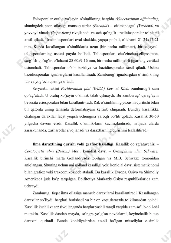 m ulmi schwarz. kasallik birinchi marta gollandiyada topilgan va m.b. schwazz tomonidan aniqlangan. shuning uchun uni golland kasalligi yoki konidial davri sistematik nomi bilan grafioz yoki traxeomikoz deb ataladi. bu kasallik evropa, osiyo va shimoliy amerikada juda ko’p tarqalgan. epifitotiya markaziy osiyo respublikalarida xam uchraydi. zamburug’ faqat ilma oilasiga mansub daraxtlarni kasallantiradi. kasallangan daraxtlar so’liydi, barglari burishadi va bir oz vaqt daraxtda to’kilmasdan qoladi. kasallik kuchli va tez rivojlanganda barglar yashil rangli vaqtida xam so’lib qoli-shi mumkin. kasallik dastlab mayda, so’ngra yo’g’on novdalarni, keyinchalik butun daraxtni quritadi. bunda konidiyalardan xo-sil bo’lgan mitseliylar o’simlik tomirlariga o’tib unda to’q qo’ng’ir, deyarli qora, elimga o’xshash moddalar xosil qilib, tomirlarni berkitib qo’yadi. suv va ozuqa moddalarning yurishi to’xtab qoladi va daraxt umuman qurib qoladi. kasallangan daraxtning yosh yog’och qismida tomirlarni berkitgan to’q qo’ng’ir chiziqlarni ko’rish mumkin. novdalar ko’ndalang yoki qiya kesilganda bu chiziqlar mayda qora nuqtalarsimon tarzda ko’rinadi. daraxtlar juda kuchli kasallanganda ko’p miqdordagi …
