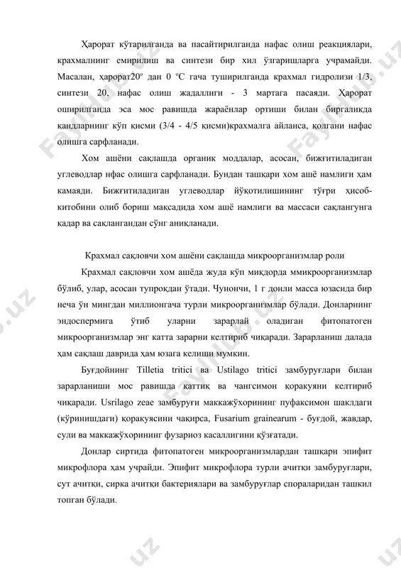 иш жадаллиги фаолроқ бўлган бегона ўсимликлар уруғлари ўз-ўзидан исишга шароит яратадилар. бундан ташқари турли зараркунанда ва каналар ҳам доннинг ўз-ўзидан исишига олиб келишлари мумкин. зараркунанда ва каналар ҳаёт-фаолиятлари туфайли иссиқлик чиқарадилар, дон ташқи қаватини зарарлайдилар ва натижада ички қисмига микроорганизмлар кириши учун шароит яратадилар. ўз-ўзидан исишда тўрт босқич кузатилади. биринчи босқичда ҳарорат 30 ос гача, иккинчи босқичда 40 ос, учинчи босқичда 50 ос ва тўртинчи босқичда 70-75 ос гача кўтарилади. биринчи босқичда муҳитда спора ҳосил қилмайдиган бактериялар ва моғорлар ривожланади. иккинчи босқичда эпифит бактериялар миқдори сезиларли камайиб, aspergillus, penicillium, fusarium, актиномицетлар, бациллалар - bac. subtilis, bac. mesentericus кабилар ривожланади. учинчи босқичда эпифит бактериялар ва моғорлар ҳалок бўлиб, муҳитда фақат термофиль бактерияларгина қолади. тўртинчи босқичда эса ҳамма микроорганизмлар ҳалок бўлади. намлиги юқори дон 30 ос ҳароратда терламайди, ушлаб кўрилганда қуруқдек кўринади, сочилувчанлигини сақлайди ва ҳеч қандай бегона ҳидсиз бўлади. 40 ос ҳароратда ушбу дон терлайди, сиқилганда қылга ёпишиб қолади, донда автолиз …