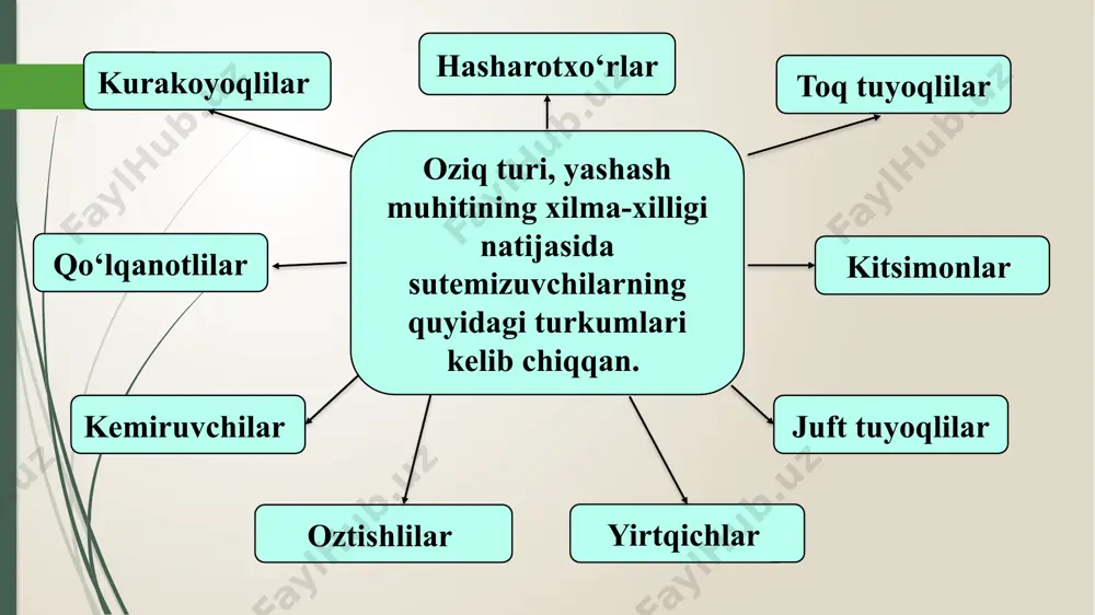 evolutsion o‘zgarishlarning tiplari - Page 5