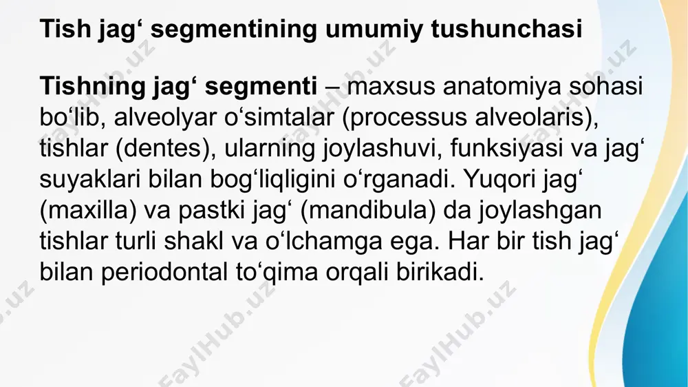 qilinadi: yuqori jag‘: nervus maxillaris → nervi alveolares superiores pastki jag‘: nervus mandibularis → nervus alveolaris inferior qon bilan ta’minlanish: a. alveolaris superior/inferior → tish, pulpa va periodontiumni oziqlantiradi bu tuzilmalarning sog‘ligi tish funksiyasiga bevosita ta’sir qiladi. klinik ahamiyati tishning jag‘ segmenti stomatologiyada muhim o‘rin tutadi. alveolit, periodontit, periimplantit kabi kasalliklar aynan shu hududda rivojlanadi. tish ildizi sinusga yaqin joylashganda perforatsiya xavfi bo‘ladi. jag‘ segmentining aniq tuzilishi diagnostika, protezlashtirish va implantatsiyada zarur. anatomiya bilimlari stomatolog uchun asosiy kalit hisoblanadi. e’tiboringiz uchun rahmat image1.jpeg image3.jpeg image4.jpeg image2.jpeg /docprops/thumbnail.jpeg