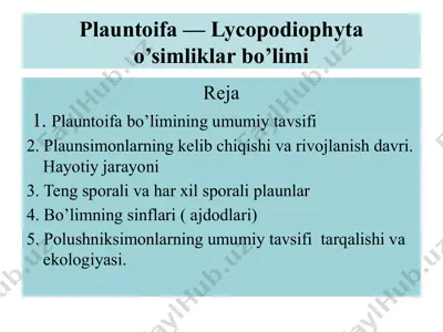 plauntoifa — lycopodiophyta o’simliklar bo’limi — PPTX
