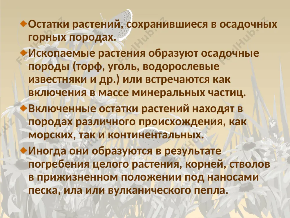 ми вместилищами семяпочек — купулами («плодолистиками»). честь открытия кейтониевых принадлежит английскому палеоботанику томасу. он пришел к выводу о том, что кейтониевые были вымершей боковой ветвью покрытосеменных. порядок вымерших голосеменных растений. встречаются в отложениях карбона — перми. мощные стволы с линейными листьями (длина 20-50 см и более). органы размножения — в виде сережек с мужскими и женскими стробилами. возможно, дали начало хвойным. руководящие ископаемые. вымерший порядок палеозойских плауновидных, достигавших размеров высокого дерева (до 40 м высотой и 1 м в диаметре). большая часть массы их толстого ствола приходилась на мощно развитую кору, тогда как проводящий цилиндр был относительно тонким. вымерший порядок мезозойских голосеменных, древовидные растения с лентовидными или игольчатыми листьями, собранными пучками на укороченных побегах. судя по характеру сохранности листьев и укороченных побегов, эти растения были листопадными. пыльцевые и семенные шишки сережковидные. сборная группа вымерших мезозойских растений, общим для них является развитие признаков, характерных для цветковых растений — сосудов в древесине, …