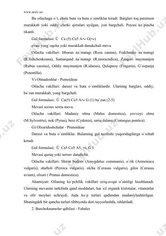 an shaklini o`zgartirib, gajaklarga, yon bargchalari esa tikanlarga aylangan. gullari ikki jinsli, notug`ri (zigomorf), ba`zan tug`ri bo`lib shingil, boshcha, soyabon, boshoqsimon to`pgulda joylashgan. changchisi va urug`chilari xashorotlar yordamida, goxo o`z o`zidan changlanadi. go`lqurgoni murakkab, kosacha bargi 5 ta, ko`pincha qo`shilib o`sgan, tajbargi ham 5 ta. ustki tojibargi yirikroq bo`lib, «elkan», ikkita ostkisi esa, changchilarni o`rab turgani «kayikcha» deb ataladi. changchilar soni odatda 10ta ulardan bittasi erkin, qolgan 9 tasining chang iplari o`zaro qo`shilib o`sgan. bazi xollarda 10ta changchining chang iplari, hammasi bir-biri bilan qo`shilib, ketadi, yoki uning aksi hammasi erkin xolda bo`ladi. urug`chisi 1ta meva bargchadan tashkil topgan. tugunchasi ustki. mevasi dukkak. uruglari endospermsiz. gul formulasi: ↑ ca(5) co1+2+(2) a(9) +1 g 1 oila vakillari: 1) no`xatsimon burchak (lathyrus cicera). bir yillik o`t. tog` yon bag`irlari, butalar orasi, ariq va soy bo`ylarida, ekinlar orasida uchraydi. 2) osiyo burchagi (l.asiaticus). bu ham bir yillik o`simlik begona o`t sifatida ekinlar rasida uchraydi. …