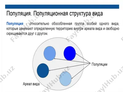 falsafa tarixi — PPTX
