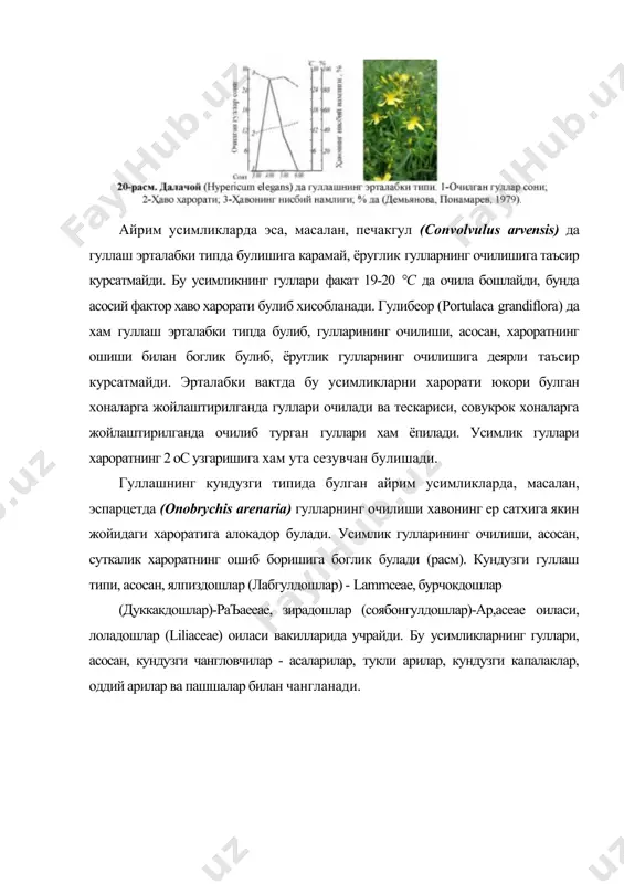 ксимум очилган гулларининг сони эса кундузи соат 10 ва 11 ларга тугри келади. суткалик гуллаш жараёни 8 соат давом этади. термиз шароитида усимликда гуллашнинг бошланиши табиий усиш жойларидагига нисбатан 2 соат олдин бошланиб, 1 соат олдин тугайди. оттоки гулларнинг максимум микдорида очилиш вакти хам термиз шароитида (8:00) хонжизадан (11:00) 3 соат олдин кузатилади. суткалик гуллаш жараёнинг давомийлиги термизда 9 соат, хонжизада 8 соатни ташкил килади (джумаев,1990). гуллаши кечки типидаги усимликларга таъсир курсатадиган асосий омил сифатида ёругликнинг камайиши сабаб булади. бунга игнабаргли чиннигул (dianthus acicularis) усимлигининг гуллаш типини мисол келтириш мумкин. унинг гуллари факат кечкурун соат 18 лар атрофида, куёш ботгандан кейин очилади (расм). кечки гуллаш типидаги усимлик гулларини тунги чангловчилар -тунги капалаклар, куршапалаклар ва бошкалар чанглатади. олимлар жанубий америкада виктория (victoria regia) усимлиги устида олиб борган тажрибаларида кизикарли маълумотлар олишган. бу усимлик гуллари одатда, кечкурун, факат соат 18 атрофида очилади. бу жараён тахминан 30 дакща давом этади. усимлик гунчаларининг очилишини …
