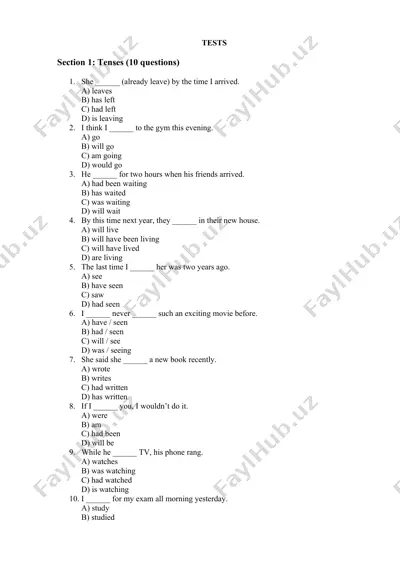 english grammar test — DOCX