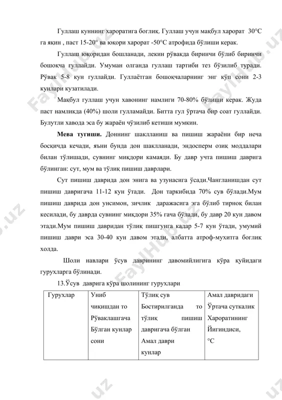 1,2 ва кейинги тартибдаги шохчаларнинг ўсиши содир бўлади, бошоқчаларнинг ўсимтали ўринлари пайдо бўлади ва алохида бошоқчалар пайдо бўла бошлайди. босқичнинг охирига келиб рўвак 1 см гача етади. бу босқич тупланиш даврнинг охирига мос келади. бешинчи босқич- бошоқчаларнинг табақаланиши, бошоқчалар ва гул тангачасимон парда хамда лодикулалар барпо қилиш билан бирга генератив органлари ривожланади.бу босқич найчалаш даврининг охирида ўтади. олтинчи босқич- чангдон ва тугунчада генератив тўқималарнинг хосил бўлиши, муртак халтаси, уруг куртак -?ва чанг донлари шаклланади.бу босқич найчалаш даврининг охирида ўтади. еттинчи босқич- барча тўпгул ўқларининг, тангачасимон қобиқларнинг, қилтиқларнинг ва сомоннинг бўйига ўсиши келади. гулнинг хамма органларининг бир неча марта кўпайиши содир бўлади. бу босқич найчалаш даврининг охирида кириб келади. саккизинчи босқич- чанглаш ва уругланиш. тўққизинчи босқич- муртак олди шаклланади, муртак ривожланади ва эндоспермнинг муртаги хам ривожланади. уругнинг эмбрионал ривожланиши ўтади. ўнинчи босқич- эндосперм хосил бўлади ва унда крахмал доначалар, алейрон қават шаклланади. ўн биринчи босқич- доннинг тўлиқ пишиши, сут, мум ва …