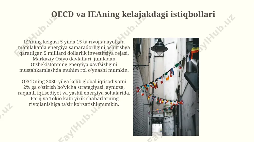 oecd va iea xalqaro tashkilotlari faoliyati va tahlili - Page 3