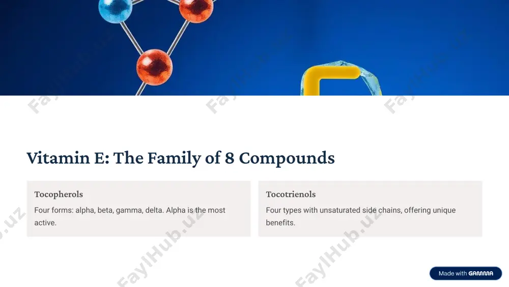 the future of vitamin e research: what's next? 1 2 3 new compounds discovering benefits of lesser-known tocotrienols. chronic disease exploring vitamin e's role in heart and brain health. personalized nutrition tailoring supplements to genetic profiles and needs. https://gamma.app/?utm_source=made-with-gamma
