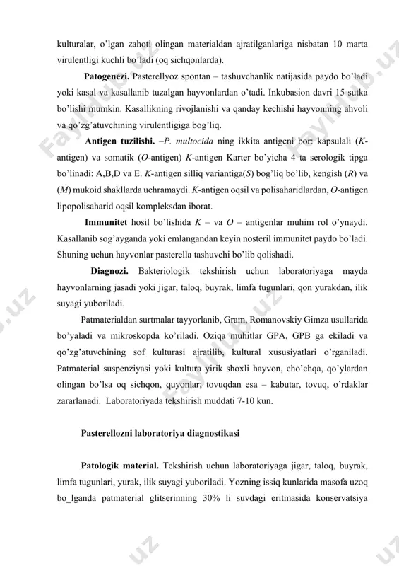 patmaterial glitserinning 30% li suvdagi eritmasida konservatsiya qilinadi. ilik suyagi esa 5 – 10 %li formalin eritmasi shimdirilgan dokaga o‗raladi. mayda hayvonlarning jasadi yo‗llanadi. 1.mikroskopiya. patmaterialdan tayyorlangan, gram usulida bo‗yalgan surtmalarda qo‗zg‗atuvchi uchlari qayrilgan, mayda, qisqa tayoqcha shaklida ( 0,25 -0,5 x 2 mkm), grammanfiy bakteriyadir. leffler ko‗ki yoki gimza usulida bo‗yalgan surtmalarda pasterellalar bipolyar ( bakteriyalarning uchlari intensiv bo‗yalgan ) holda ko‗rinadi. kulturadan tayyorlangan surtmalarda bittadan, ikkitadan ba’zan qisqa zanjir shaklida joylashgan kokksimon yoki qisqa tayoqchasimon bakteriyalar ko‗rinadi. ba’zi yangi ajratilgan virulentli shtammlari kapsula hosil qiladi. maxsus usullarda bo‗yalganda ( mixin ) kapsula yaxshi ko‗rinadi. harakatsiz, spora hosil qilmaydi. 2. bakteriologiya. p. multocida – aerob sharoitda, 37- 380c da, ph 7,2- 7,4 bo‗lgan gpa va gpb larda o‗sadi. lekin qonli gpa, zardobli gpa yoki gpb larda yaxshiroq o‗sadi. patmaterialdan ekilgan ekmalar 24-48 soat termostatda o‗stiriladi. agar o‗sish bo‗lmasa, ekmalar 4 – 5 sutkagacha termostatda saqlanadi. gpa da- pasterellalar mayda, …