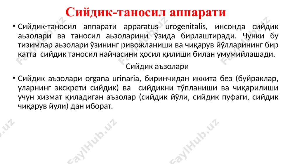 диал қирраси ботиқ бўлиб, нафақат медиал, балки олдинга ва пастга ҳам қараб туради. медиал қирранинг ўрта қисмида буйракнинг дарвозаси, hilus renalis жойлашган. буйрак дарвозасидан буйрак артерияси ва нервлар кирса, вена ва лимфатомир ва сийдик йўли чиқади. агар буйрак дарвозасидаги тузилмаларни олиб ташланса, буйрак паренхимасига йўналган ковак қолади ва y sinus renalis дейилади. унинг бўйлама ўқи буйрак бўйлама ўқига тўғри келади. буйракнинг олд юзаси бўртиқ, орқа юзаси эса ботиқроқ. буйраклар синтопияси буйрак топографияси ўнг ва чап буйракларнинг бошқа аъзоларга нисбатан жойлашувлари турлича. ўнг буйрак қориннинг олд деворига regio epigastrica, umbilicalis et abdominalis lateralis dextra, чап буйрак –regio epigostrica et adominalis lat tralis sinistra га соя беради. ўнг буйракнинг юқори учи буйрак усти безига, ундан пастроқ катта юзаси жигарга, пастки 1/3 қисми flexura coli dextra гa, медиал қирғоғи эса duodenum нинг пастга тушувчи қисмига тегиб туради. ўнг буйракнинг пастки учи қорин пардага тегиб туради. чап буйракнинг юқори учининг олд юзасига буйрак усти …