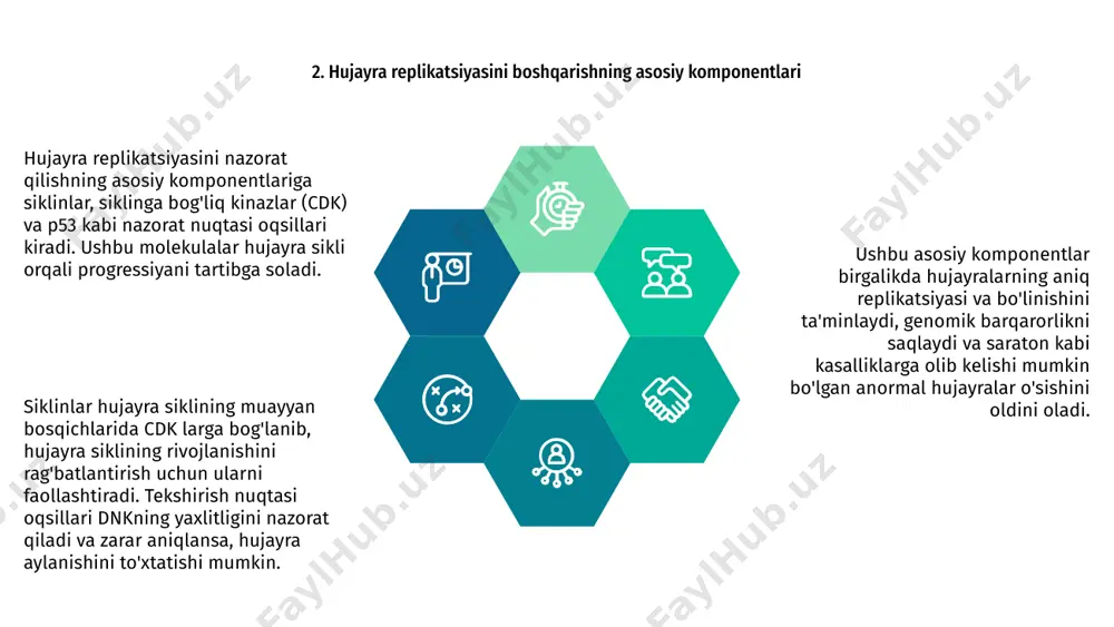 hning kelajak istiqbollari hujayra replikatsiyasi bo'yicha tadqiqotlarning kelajagi hujayra siklini boshqaradigan yangi tartibga solish mexanizmlarini ochish, saraton kabi kasalliklarga qarshi maqsadli davolash usullariga yo'l ochishdan iborat. matn bir hujayrali ketma-ketlik va genomni tahrirlash vositalari kabi texnologiyadagi yutuqlar hujayra replikatsiyasi bilan bog'liq murakkab jarayonlarni tushunishimizni kuchaytiradi. e'tiboringiz uchun rahmat