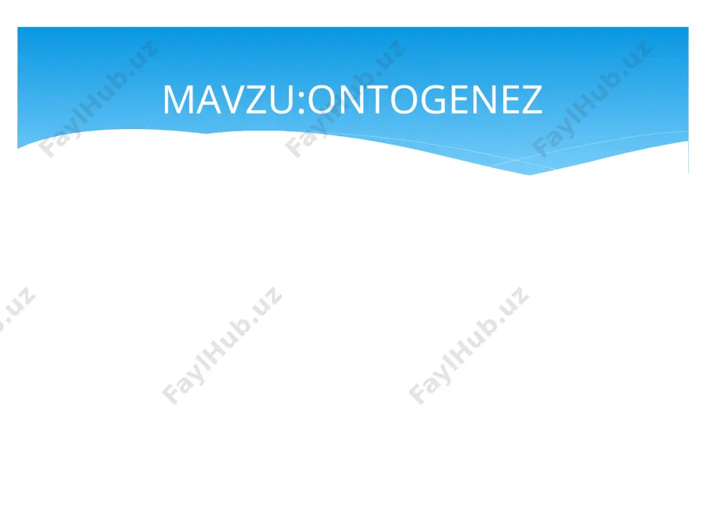 ot doimo uning hayoti bilan bog'liq deb o'ylashadi.  онтогенезни тушунтиришда икки концепция кураш олиб борди. улардан бири — преформизм о. ни индивидуал ўсишдан иборат деб тушунтирса, иккинчиси — эпигенез эса уни структурасиз муртакдан бошланадиган янги ҳосиланинг ривожланиш жараёни си-фатида тушунтиради. замонавий тушунчаларга биноан, онтогенез бошланаётган ҳужайрада ирсий ахборот коди ҳолатида организмнинг бундан кейинги ривожланиши программаси жойлашган.  gastrulyatsiya (invaginatsiya) - gastrula hujayra invaginatsiyasi natijasida hosil bo'ladi. gastrulyatsiya paytida mikrob hujayralari deyarli bo'linmaydi va o'smaydi. hujayra massalarining faol harakati (morfogenetik harakatlar) mavjud. gastrulyatsiya natijasida mikrob qatlamlari (hujayra qatlamlari) hosil bo'ladi. gastrulyatsiya gastrula deb nomlangan xomilaning shakllanishiga olib keladi. image4.jpg image5.jpg image6.jpg image1.png image2.png image3.png image30.png