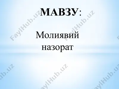 moliyaviy nazorat — PPTX