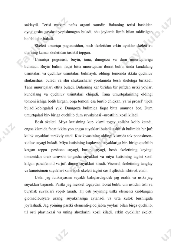 i jag mekkel togaydan iborat bulib, uni ustidan tish va burshak suyaklari yopib turadi. til osti yoyining ustki elementi xioblangan giomadibulyare uzangi suyakshasiga aylanadi va urta kulok bushligida joylashadi. jag yoining pastki elementi-giod jabra yoylari bilan birga quchilib, til osti plastinkasi va uning shoxlarini xosil kiladi. erkin oyoklilar skeleti quruqlikda yashovshi umurtqali hayvonlarning oyok skeletiga uxshash tuzilgan. oyok skeleti 3 bulimdan iborat: 1.oldingi oyogida elka, keyingi oyogida son, bu bulim xar doim bittadan elka va son suyaklaridan iborat. 2.oldingi oyogida elka oldi, keyingi oyogida boldir, elka oldi bulimi tirsak va bilak suyaklaridan, boldir bulimi katta va kichiq boldir suyaklardan tashkil topgan. bakalarda bu suyaklar bir- biridan ajralmagan. 3.oldingi oyokda kaft, keyingi oyokda tovon bulimlari bor. kaft bulimi bilaguzuk, kaft va barmok falangalaridan, tovon esa tovon- oldi tovon va barmok falangalaridan tuzilgan. bakalarda bilaguzuk va tovonoldi suyaklarining kup kismi uzaro quchilib ketadi. elka kamari yoy shaklida, uchi korin tomonga karatilgan. yoyning …