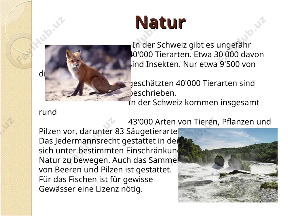 die schweiz - Page 5