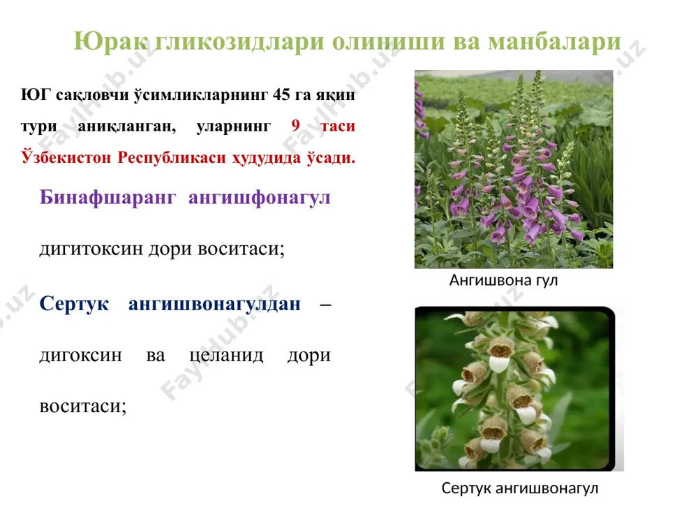 allayeva m.j., xakhimov z.z., ismailov s.r., aminov s.s., mustanov b.t. farmakologia. darslik– 2018, t. – 650b. manuchair ebadi. pharmacology. textbook. 3- edition,boston new york toronto london, 1996.-p.357. vidal. lekarstvennie preparati v uzbekistane. spravochnik. 2010, m.: astrafarmservis,. – 672 s. karen whalen. pharmacology. textbook. 6- edition. «lippincott illustrated reviews». 2015.- p. 637. foydalanilgan adabiyotlar e'tiboringiz uchun raxmat! image2.jpeg image3.jpeg image4.png image5.png image6.jpeg image7.png image8.png image9.png image10.jpeg image11.png image12.jpeg image13.png image14.png image15.png image16.jpeg image17.jpeg image18.png image19.jpeg image20.jpeg image21.png image22.png image23.png image24.png image25.jpeg image26.png image27.png image28.png image29.png image30.png image31.png image32.png image33.png image34.png image35.png image36.png image37.jpeg image38.png /docprops/thumbnail.jpeg