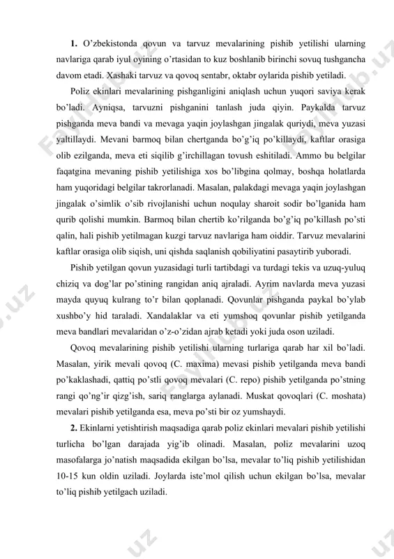 (c. repo) pishib yetilganda po’stning rangi qo’ng’ir qizg’ish, sariq ranglarga aylanadi. muskat qovoqlari (c. moshata) mevalari pishib yetilganda esa, meva po’sti bir oz yumshaydi. 2. ekinlarni yetishtirish maqsadiga qarab poliz ekinlari mevalari pishib yetilishi turlicha bo’lgan darajada yig’ib olinadi. masalan, poliz mevalarini uzoq masofalarga jo’natish maqsadida ekilgan bo’lsa, mevalar to’liq pishib yetilishidan 10-15 kun oldin uziladi. joylarda iste’mol qilish uchun ekilgan bo’lsa, mevalar to’liq pishib yetilgach uziladi. qishki qovun va tarvuz navlari mevalari texnik pishib yetilish davrida, ya’ni iste’mol qilish uchun mumkin bo’lgan davrda, qovoq va xashaki tarvuz mevalari esa, biologik pishib yetilgan davrida yig’ib olinadi. poliz ekinlari mevalari pishib yetilishiga qarab bir necha marotaba (4-6 marta) yig’ib olinadi. kunlar sovib ketishiga yaqin mevalar bir yo’la hammasi yig’ib olinadi. birinchi pishib yetilgan mevalarni o’z vaqtida terib olish o’simlik palagidagi qolgan meva va tuganaklarni tezroq pishib yetilishiga imkon yaratadi, hosildorlikni birmuncha oshiradi. sug’oriladigan yerlarda qovun va tarvuz mevalarini yig’ib olishdan 10-15 …