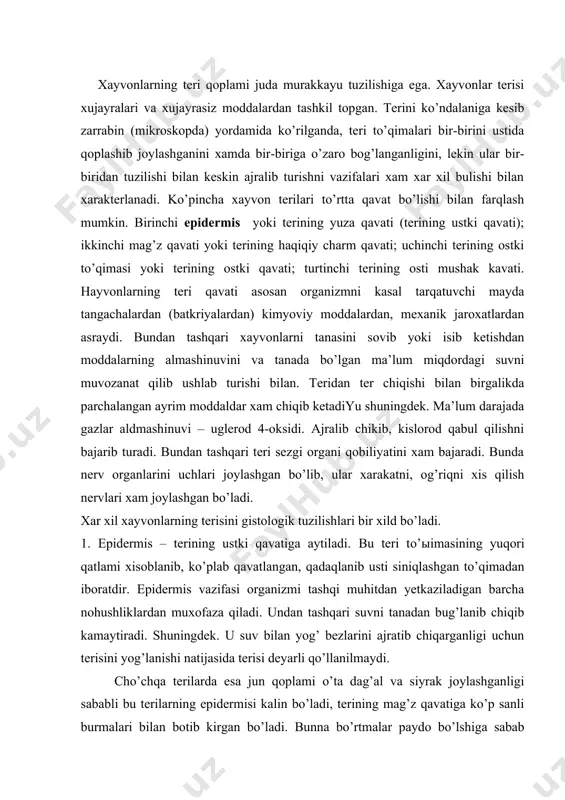 aza qiladi. undan tashqari suvni tanadan bug’lanib chiqib kamaytiradi. shuningdek. u suv bilan yog’ bezlarini ajratib chiqarganligi uchun terisini yog’lanishi natijasida terisi deyarli qo’llanilmaydi. cho’chqa terilarda esa jun qoplami o’ta dag’al va siyrak joylashganligi sababli bu terilarning epidermisi kalin bo’ladi, terining mag’z qavatiga ko’p sanli burmalari bilan botib kirgan bo’ladi. bunna bo’rtmalar paydo bo’lshiga sabab epidermisda o’zining shaxsiy qon tomirlari bo’lmasligidadir. shuning uchun xam to’qimaning hayot faoliyati, terini mag’z to’qimasidan chiqib turuvchi suyuqlik modda bilan oziqlanadi. agar bu bo’rtmalar bo’lmaganda bu qatlamni ozuqa moddalar bilan ta’minlanishi qiyin bo’lar edi. bulardan tashqari burtmalar epidermis va terini mag’zi qatati urtasidagi bog’lanishni mutahkamlab ustidagi qatlamini o’sishigiga qulay sharoit yaratib beradi. bunaqa qo’laylikldan epidermis juda tez qalinlashib ketishiga sabab bo’ladi. terida soch o’sib chiqqan joylarida epidermis gidroblashgan chukurchalar paydo bo’ladi. epidermis qalinlashgan joylarida yaxshi farqlangan molpigli va qobik qatlamlarga firolagan bo’ladi. molpigli qavatini uzi esa uz qavatida ya’ni qatlamdan iborat buladi. birinchi asosiy yoki …