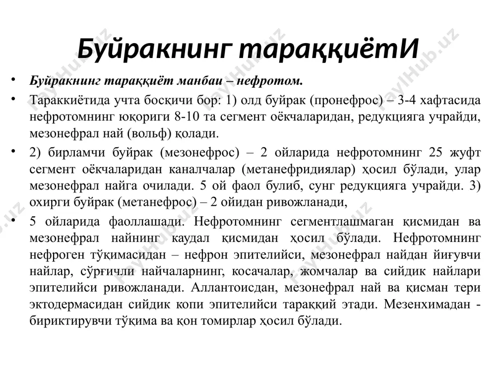 атоген эпителий d- уруғ олиб чиқувчи най е- уруғдон ортиғи найи f- уруғ олиб кетувчи йўл i- уруғдон пардаси ii- уруғдон тўсиқлари iii- уруғдон бўлакчалари iy- эгри-бугри уруғ найлари y- интерстициал хужайралар yi- уруғдон тўгри найлари yii- уруғдон тўри yiii- эгри-бугри уруғ олиб чиқувчи найлар ix- уруғдон ортиги найи x – уруғ олиб кетувчи йўл 1-мезотелий, 2-кон томирлари, 3-бириктирувчи тукима хужайралари, 4- сустентоцит, 5- сперматогоний 6- сперматоцитлар,7- сперматидлар, 8- сперматозоидлар, 9- миофиброз парда, 10-киприкли хужайра, 11-кубсимон хужайра, 13- уругдон ортиги найининг миофиброз пардаси,14- «олов» хужайра, 15- уруғ олиб чиқувчи тўгри йўлнинг кўп каторли эпителийси. жинсий системаининг тараққиёти уруғдон уруғдон ортиғи билан уруғдон ва уруғдон ортиғи уруғдон эгри-бугри уруғ найлари эгри-бугри уруғ найлари сперматида электронограммаси марказида акросома билан ўралган ядро, ядро атрофида микронайчалар жойлашган. шаклланиш давридаги сперматид 1- акросома 2- қопча 3- ядро 4- цитоплазма 5- проксимал центриола 6- филаментлар 7- дистал центриола сертоли ҳужайраси уруғ олиб кетувчи йўллар. ультраструктурная организация …