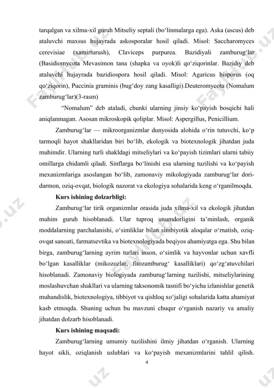 ariga asoslangan bo‘lib, zamonaviy mikologiyada zamburug‘lar dori-darmon, oziq-ovqat, biologik nazorat va ekologiya sohalarida keng o‘rganilmoqda. kurs ishining dolzarbligi: zamburug‘lar tirik organizmlar orasida juda xilma-xil va ekologik jihatdan muhim guruh hisoblanadi. ular tuproq unumdorligini ta’minlash, organik moddalarning parchalanishi, o‘simliklar bilan simbiyotik aloqalar o‘rnatish, oziq-ovqat sanoati, farmatsevtika va biotexnologiyada beqiyos ahamiyatga ega. shu bilan birga, zamburug‘larning ayrim turlari inson, o‘simlik va hayvonlar uchun xavfli bo‘lgan kasalliklar (mikozozlar, fitozamburug‘ kasalliklari) qo‘zg‘atuvchilari hisoblanadi. zamonaviy biologiyada zamburug‘larning tuzilishi, mitseliylarining moslashuvchan shakllari va ularning taksonomik tasnifi bo‘yicha izlanishlar genetik muhandislik, biotexnologiya, tibbiyot va qishloq xo‘jaligi sohalarida katta ahamiyat kasb etmoqda. shuning uchun bu mavzuni chuqur o‘rganish nazariy va amaliy jihatdan dolzarb hisoblanadi. kurs ishining maqsadi: zamburug‘larning umumiy tuzilishini ilmiy jihatdan o‘rganish. ularning hayot sikli, oziqlanish uslublari va ko‘payish mexanizmlarini tahlil qilish. mitseliylarning shakl o‘zgargan holatlarini aniqlash va ularning ekologik ahamiyatini yoritish. zamburug‘larning sinflarga bo‘linishini sistematik tahlil qilish orqali biologik xilma-xillikni tushuntirish. kurs ishining vazifasi: zamburug‘larning morfologik …