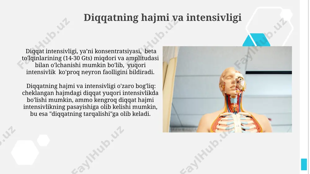 aqsadli va ong boshqaruvi bilan bog'liq bo'lib, miya korteksining yuqori darajali funksiyalarini, taxminan 250-300 ms reaksiya vaqtini talab qiladi. ikkala turdagi diqqatning neyrobiologik mexanizmlari farq qiladi, ixtiyoriy diqqat prefrontal korteks va boshqa yuqori darajali miya sohalarini faollashtirsa, ixtiyoriy bo'lmagan diqqat amigdala va talamus kabi tuzilmalar bilan bog'liq. diqqatning neyrofiziologik mexanizmlari diqqatni saqlashda retikulyar formatsiya, talamus va bazal ganglionlarning o'zaro ta'siri orqali neyrotransmitterlar, masalan, asetilxolin va dopamin muhim ahamiyatga ega. diqqatning neyrofiziologik mexanizmlarida prefrontal korteksning faolligi muhim rol o'ynaydi, 8-12 gts oralig'ida alfa ritmlarning susayishi va beta ritmlarning kuchayishi kuzatiladi. diqqatni yaxshilash usullari diqqatni yaxshilash uchun kuniga kamida 7-8 soat sifatli uyqu olish, miyani kislorod bilan to'yingan holda saqlash va stress darajasini pasaytirish juda muhim. kundalik hayotga meditatsiya yoki mindfulness amaliyotlarini kiritish, 10-15 minutlik muntazam mashqlar orqali diqqatni jamlash va tarqalishini boshqarish qobiliyatini sezilarli darajada yaxshilaydi. diqqat va xotira diqqatning yuqori darajasi 7 ± 2 obyektni bir vaqtning o'zida qayta ishlash …