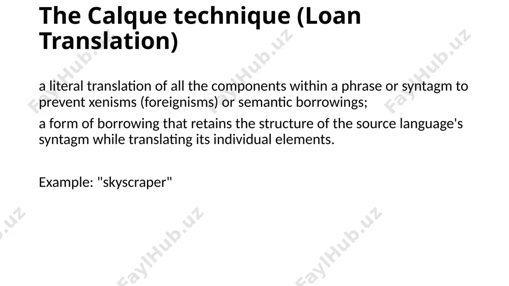 techniques of translation - Page 5
