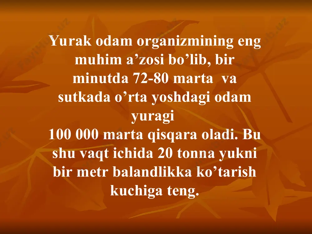 yurak anatomiyasi - Page 4