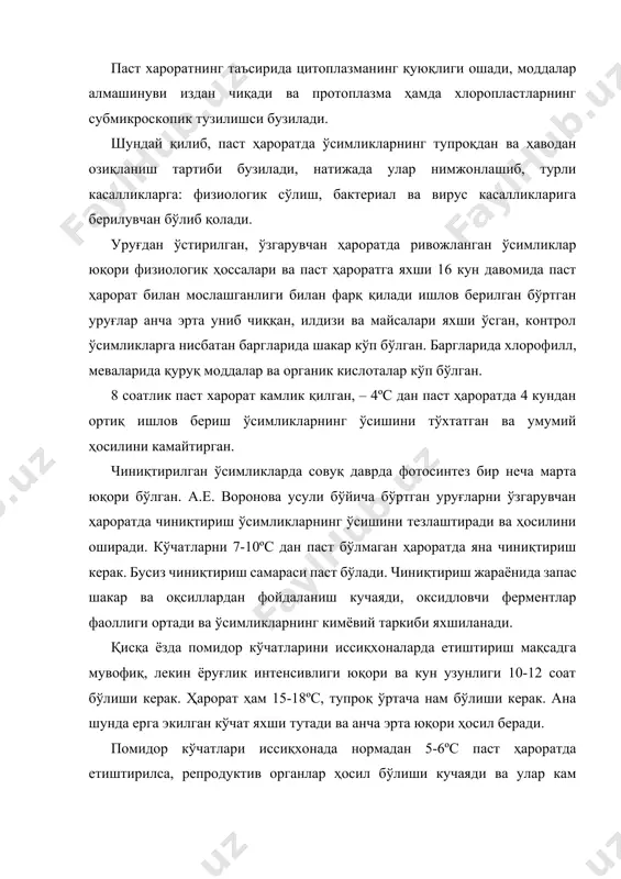 ўзгартиради ва ўсимликларнинг анча паст хароратга чидамлилигини оширади. бу селекционерларнинг кенг кўламда олиб борган тажрибаларида тасдиқланган. улар кўп марталик таъсир ва танлаш йўли билан шимолий туманлар учун иссиқсевар ўсимликлар (помидор, тариқ ва б.) нинг совуққа анча чидамли навларини яратдилар. бу навлар паст хароратга чидамли ва анча узун кунга мослашган бўлади. демак, чиниқтириш селекцияда дурагайларни тарбиялаш ва танлашда, шунингдек, уруғчиликда жуда муҳим аҳамиятга эга. иссиқсевар ўсимликларнинг совуққа чидамлилигини оширишнинг икки ҳили фарқ қилинади: 1. биологик – майса ва ўсимликларни совуқда сақлаш йўли билан ҳужайралари протоплазмасининг совуққа чидамлилигини оширишга боғлиқ бўлган чиниқиши; 2. уруғларга препарат пуркаш ва уларни парафинлаш ҳамда ўсимликларнинг ўзини чиниқтирмайдиган бошқа усуллар билан майсаларни зарарли микроорганизмлар ва хашоротлардан ҳимоя қилиш. итузумдош ва бошқа ўсимликларнинг совуққа чидамлилигини ошириш ва шимолий хамда тоғли туманларда уларнинг чидамлилигини ошириш учун фақат чиниқтириш усулидан эмас, балки, муайян ўғитлар тизимидан, ҳимоя тўсиқлари ва х.к. лардан ҳам фойдаланилади. уруғ сепиш ва кўчатларни кўчириб ўтқазиш муддатлари муҳим …