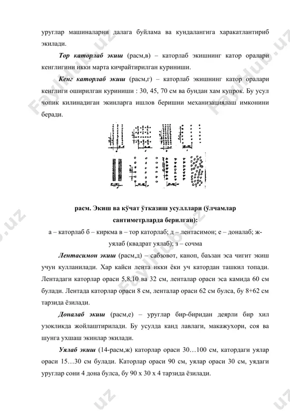 а четга чикишга рухсат этилади; 2) барча экиш аппаратлари бир хил микдорда ва бир текис уруг экилишини таъминлаш лозим. уруг микдорининг уртача фарки донли экинлар учун 38 фоиз дуккакли экинлар учун 4 фоизгача булишига рухсат этилади. 3) катор ораларининг кенглигидаги фарк: асосий катор оралар учун ±1 см; ёнма-ён ишловчи сеялкаларнинг четки сошниклари хосил килган катор оралар учун ±2 см; ёндош катор оралар (бориб-кайтиш) учун эса ± 5 см дан ошмаслиги керак. 4) уругларни кумиш чукурлиги топширикда курсатилгандан ± 15 фоиздан ортик фарк килмаслиги керак. 5) агрегатнинг дала этагида кайрилиб олиш жойларига хам уруглар экилиши лозим. доналаб аник экилган уруглар бир-биридан бир хил масофада жойлашиши ва бундай жойлашган уруглар камида 80 фоизни ташкил этиши зарур. ерга экилмай колган уруглар (уялар) сони экилган уруглар микдорининг 2 фоиздан ошмаслиги керак. 6) кучатларни илдиз кисмини кайирмасдан вертикалдан 300 дан ортик огдирмай экиш зарур. кучат атрофидаги тупрок зичланиб, шу пайтда хар бир кучат учун 0,2…0,6 …