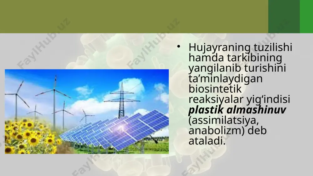 moddalar almashinuvi – hujayra hayotiy faoliyatining asosi. 10 - sinf - Page 3
