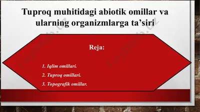 tuproq muhitidagi abiotik omillar va ularning organizmlarga ta’siri — PPT