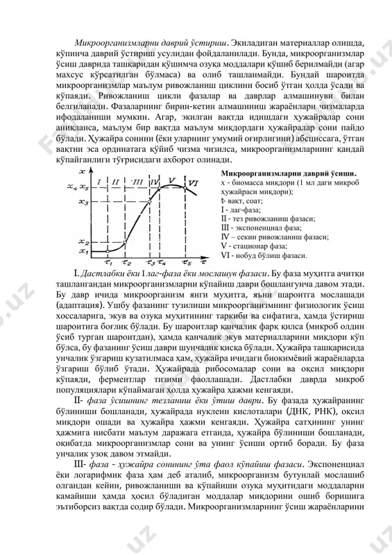 ил бўлган аралашмадан керакли модда ажратиб олинади. микроорганизмларни суюқликда доимий ўстириш жараёнида ферментёрга бир текисда, доимий равишда озуқа муҳити қуйиб турилади ва шунга мос равишда тайёр маҳсулот сақловчи суюқлик (микроорганизм билан бирга) қуйиб олинади ва ундан керакли модда ажратиб олинади. микроорганизмларни даврий ёки доимий ўстириш шароити бир-биридан фарқ қилади. даврий ўстиришда озуқа муҳитидаги моддалар миқдори бир текисда камайиб, ҳосил бўладиган модда миқдори эса кўтарилиб боради, бу эса микроорганизмнинг ўсиб ривожланишига салбий таъсир кўрсатади. доимий ўстиришда бу икки кўрсаткич бир текисда туради, шунинг учун ҳам микроорганизмнинг ўсишига ижобий таъсир кўрсатади. микроорганизмларни даврий ўстириш. экиладиган материаллар олишда, кўпинча даврий ўстириш усулидан фойдаланилади. бунда, микроорганизмлар ўсиш даврида ташқаридан қўшимча озуқа моддалари қўшиб берилмайди (агар махсус кўрсатилган бўлмаса) ва олиб ташланмайди. бундай шароитда микроорганизмлар маълум ривожланиш циклини босиб ўтган ҳолда ўсади ва кўпаяди. ривожланиш цикли фазалар ва даврлар алмашинуви билан белгиланади. фазаларнинг бирин-кетин алмашиниш жараёнлари чизмаларда ифодаланиши мумкин. агар, экилган вақтда идишдаги ҳужайралар сони …