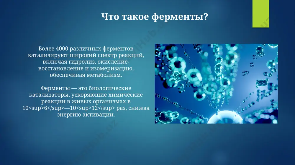 a izmeneniya zaryada aktivnogo tsentra. fermenti v dnk-replikatsii i reparatsii sistema reparatsii ekstsizionnoy reparatsii nukleotidov (ner) vklyuchaet bolee 30 belkov, vklyuchaya endonukleazi, kotorie raspoznayut i razrezayut povrejdennie uchastki dnk, obespechivaya tochnost reparatsii. ferment ligaza kataliziruet obrazovanie fosfodiefirnix svyazey, zapolnyaya breshi v saxarno-fosfatnom ostove dnk posle reparatsii, vosstanavlivaya tselostnost molekuli. allostericheskaya regulyatsiya svyazivanie effektora s allostericheskim saytom indutsiruet konformatsionnie izmeneniya v fermente, vozdeystvuya na aktivniy tsentr i izmenyaya ego srodstvo k substratu. allostericheskaya regulyatsiya mojet vklyuchat kak aktivatsiyu, tak i ingibirovanie fermentativnoy aktivnosti, izmenyaya km v 10-100 raz i vliyaya na vmax. regulyatsiya aktivnosti fermentov allostericheskaya regulyatsiya, naprimer, vzaimodeystvie s effektorami, mojet povishat ili ponijat aktivnost fermenta v 10 i bolee raz, izmenyaya konformatsiyu ego aktivnogo tsentra. kovalentnaya modifikatsiya, takaya kak fosforilirovanie, mojet aktivirovat ili inaktivirovat ferment, reguliruya ego kineticheskie parametri (km i vmax). fermenti v pishevarenii amilaza slyuni nachinaet perevarivanie kraxmala vo rtu, gidrolizuya α-1,4-glikozidnie svyazi, prevrashaya slojnie uglevodi v …