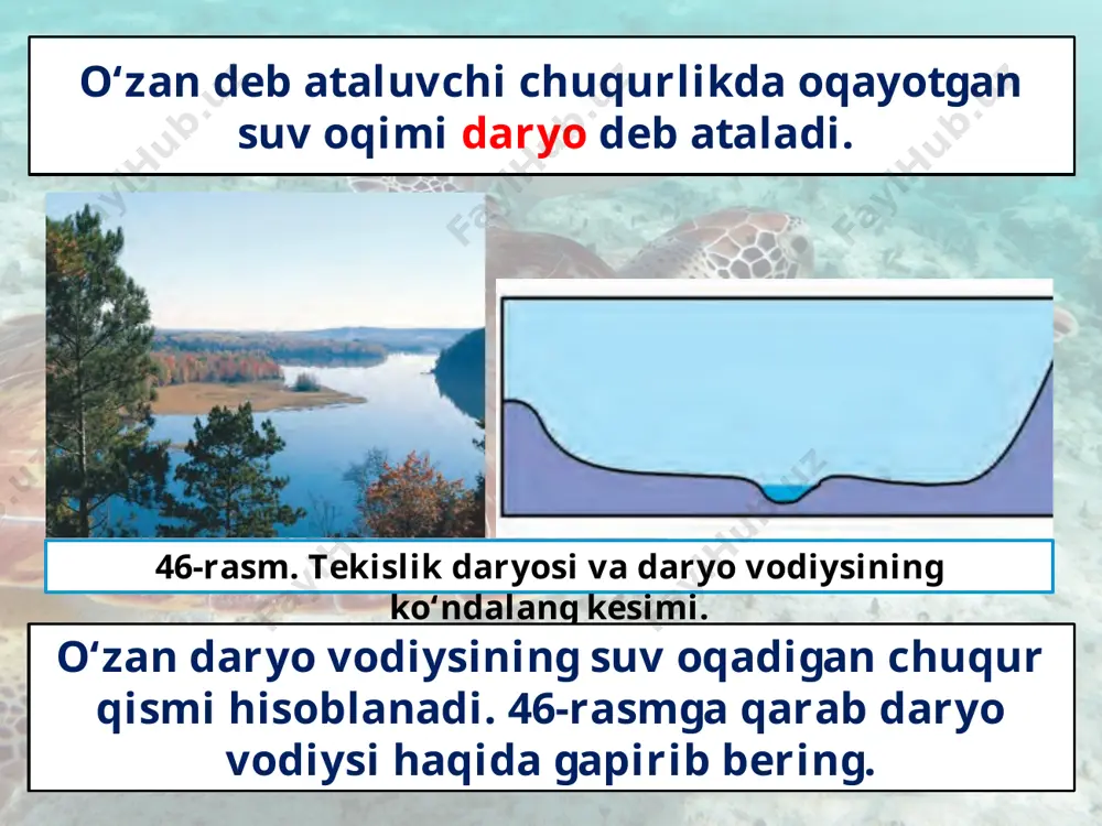 daryolar - Page 3