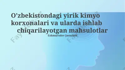 "oʻzkimyosanoat" ak ning faoliyati va mahsulotlari — PPTX