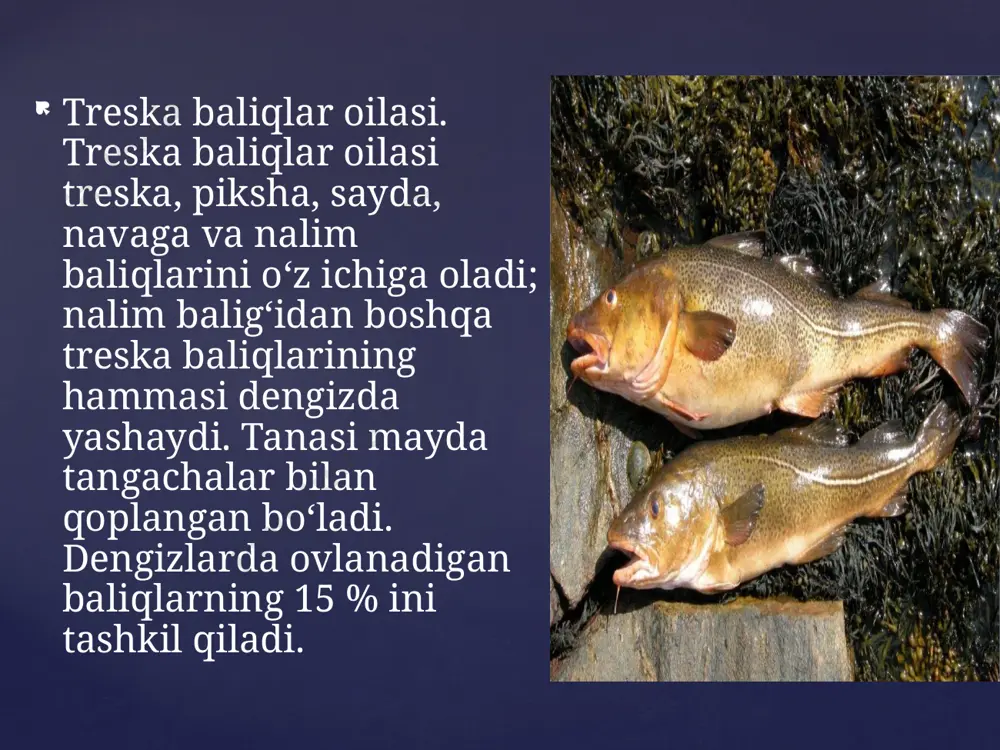 dengiz va okeanlarda baliq ovlash - Page 5