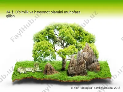 o‘simlik va hayvonot olamini muhofaza qilish. 11 - sinf — PPTX