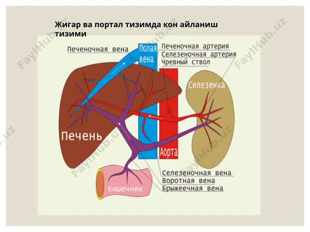 ls/notesslide75.xml.rels ppt/notesslides/notesslide76.xml ppt/notesslides/_rels/notesslide76.xml.rels ppt/notesslides/notesslide77.xml ppt/notesslides/_rels/notesslide77.xml.rels ppt/notesslides/notesslide78.xml ppt/notesslides/_rels/notesslide78.xml.rels ppt/notesslides/notesslide79.xml ppt/notesslides/_rels/notesslide79.xml.rels ppt/notesslides/notesslide80.xml ppt/notesslides/_rels/notesslide80.xml.rels ppt/notesslides/notesslide81.xml ppt/notesslides/_rels/notesslide81.xml.rels ppt/notesslides/notesslide82.xml ppt/notesslides/_rels/notesslide82.xml.rels ppt/slidelayouts/slidelayout1.xml ppt/slidelayouts/_rels/slidelayout1.xml.rels ppt/slidelayouts/slidelayout2.xml ppt/slidelayouts/_rels/slidelayout2.xml.rels ppt/slidelayouts/slidelayout3.xml ppt/slidelayouts/_rels/slidelayout3.xml.rels ppt/slidelayouts/slidelayout4.xml ppt/slidelayouts/_rels/slidelayout4.xml.rels ppt/slidelayouts/slidelayout5.xml ppt/slidelayouts/_rels/slidelayout5.xml.rels ppt/slidelayouts/slidelayout6.xml ppt/slidelayouts/_rels/slidelayout6.xml.rels ppt/slidelayouts/slidelayout7.xml ppt/slidelayouts/_rels/slidelayout7.xml.rels ppt/slidelayouts/slidelayout8.xml ppt/slidelayouts/_rels/slidelayout8.xml.rels ppt/slidelayouts/slidelayout9.xml ppt/slidelayouts/_rels/slidelayout9.xml.rels ppt/slidelayouts/slidelayout10.xml ppt/slidelayouts/_rels/slidelayout10.xml.rels ppt/slidelayouts/slidelayout11.xml ppt/slidelayouts/_rels/slidelayout11.xml.rels ppt/slidelayouts/slidelayout12.xml ppt/slidelayouts/_rels/slidelayout12.xml.rels ppt/slidelayouts/slidelayout13.xml ppt/slidelayouts/_rels/slidelayout13.xml.rels ppt/slidelayouts/slidelayout14.xml ppt/slidelayouts/_rels/slidelayout14.xml.rels ppt/slidemasters/slidemaster1.xml ppt/slidemasters/_rels/slidemaster1.xml.rels ppt/slidemasters/slidemaster2.xml ppt/slidemasters/_rels/slidemaster2.xml.rels ppt/slidemasters/slidemaster3.xml ppt/slidemasters/_rels/slidemaster3.xml.rels ppt/slidemasters/slidemaster4.xml ppt/slidemasters/_rels/slidemaster4.xml.rels ppt/