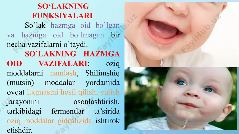 i suyuq. jag` osti va til bezlari seroz va shilimshiq hujayralarga ega bo`lganligi uchun ulardagi so`lak aralash so`lak hisoblanadi. odamda tinch holatda daqiqada 0,24-0,3 ml; bir kecha - kunduzda 0,5-2,0 1 hajmida so`lak ajraladi. bu so`lak og`iz bo'shligini namlab turish uchun kerak. ovqat chaynaganda so`lak ajralishi bir daqiqada 3,0-3.5 ml ga yetadi. so`lakning muhit reaksiyasi ph 5,8-7,4 ga teng. ajralish tezligi oshsa, so`lakning muhiti ishqor tomonga siljib, ph 6,8-7.4 ga teng bo`ladi. odam so`lagining tarkibida 99,4 % suv va 0,6% quruq qoldig`i mavjud. quruq qoldig`ida 0,2% atrofida anorganik va 0,4% organik moddalar bor. so`lakda anorganik ionlari xlorid, bikarbonat, sulfat, fosfat anionlari va natriy, kaliy, kalsiy, magniy kationlari mavjud. undan tashqari, so`lakda temir. mis, nikel va boshqa mikroelementlar uchraydi. so`lak tarkibidagi organik moddalar asosan oqsillardan iborat. oqsil shilimshiq modda - mutsinning oziq moddalarni biriktirib, luqma hosil qilishida ishtirok etadi. so`lak so`lak tarkibidagi asosiy fermentlar kuchsiz ishqoriy muhitda faoliyat ko'rsatuvchi amilaza va …