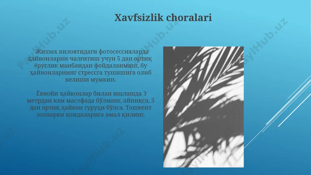 hayvonlarni va nur manbalarini tanlash - Page 5