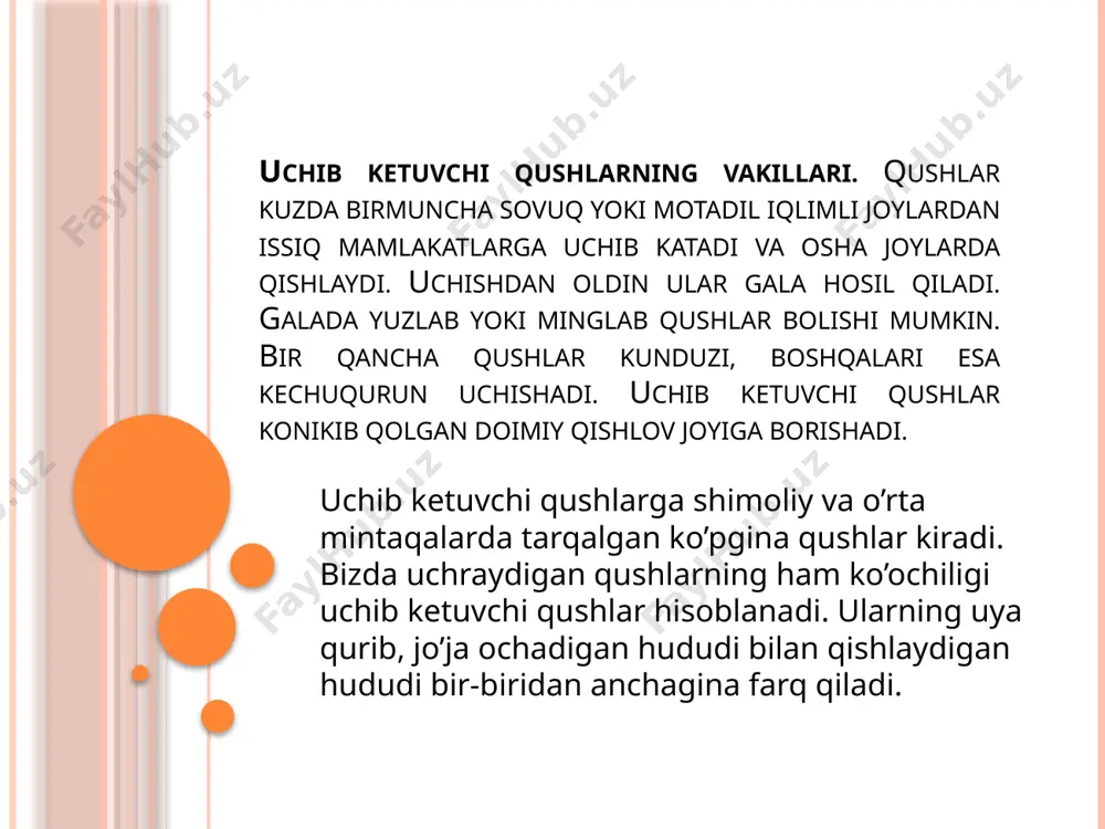 qaldirgochlar afrika va hindistonga uchib ketishi aniqlangan. xulosa ko’pgina o’rdaklar qishda suv muzlamagan va qisman muzlagan yillari o’rta mintaqalarda qishlab qoladi. iqlim qancha kontinental bo’lsa, uchib ketuvchi qushlar shuncha ko’p bo’ladi. qish iliq kelib, qora archa yaxshi meva bergan yillari chetan va olashaqshaqlar moskva atorifida qislab qolar ekan. yana shunday qushlar borki, yo’l bo’yi dam olmasdan uchadi. masalan, gavay orollarida qishlovchi rjankalar 3200kmli masofani dam olmasdan bosib o’tadi. e’tiboringiz uchun rahmat! image2.png image3.png image4.png image5.png image6.png image7.png image8.png image9.png /docprops/thumbnail.jpeg