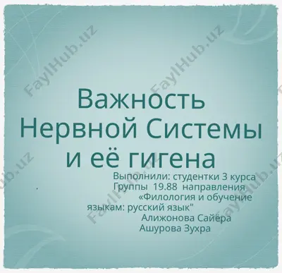 важность нервной системы и её гигена — PPTX